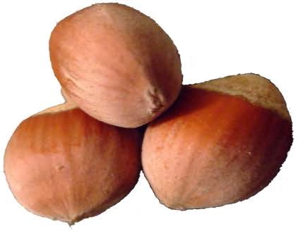 Haselnusslikör